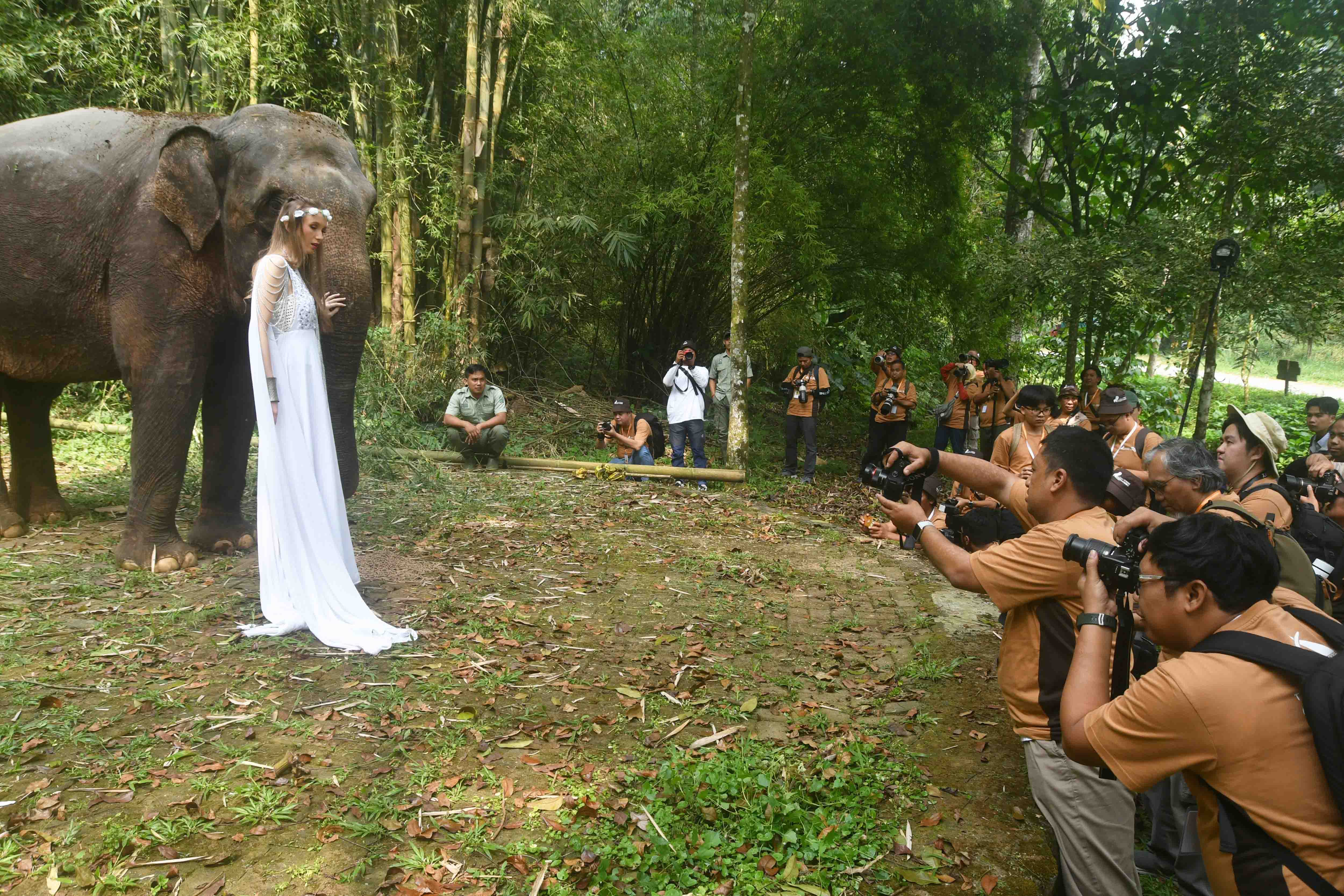 Kompetisi Foto dan Video Satwa di TSI Bogor